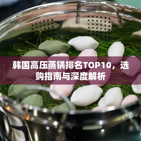 韩国高压蒸锅排名TOP10,选购指南与深度解析