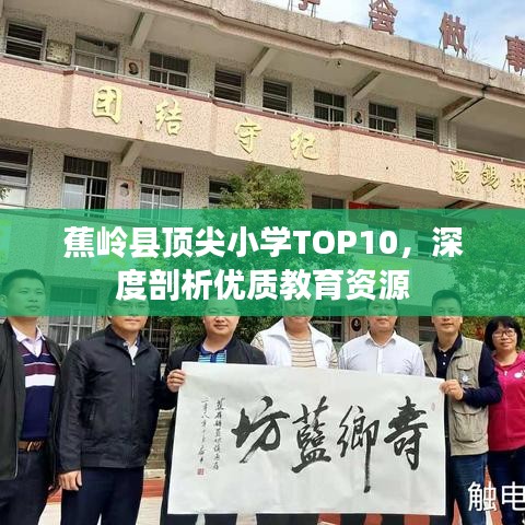 蕉岭县顶尖小学TOP10，深度剖析优质教育资源