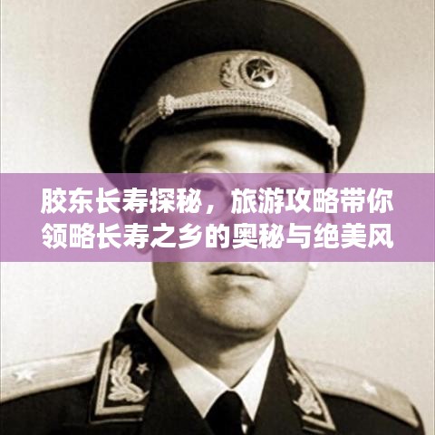 胶东长寿探秘，旅游攻略带你领略长寿之乡的奥秘与绝美风光