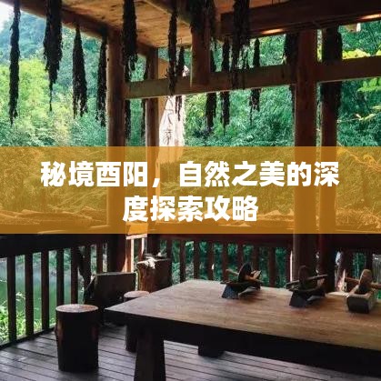 秘境酉阳，自然之美的深度探索攻略