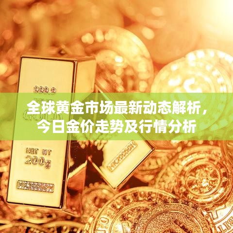 全球黄金市场最新动态解析，今日金价走势及行情分析
