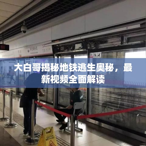 大白哥揭秘地铁逃生奥秘,最新视频全面解读