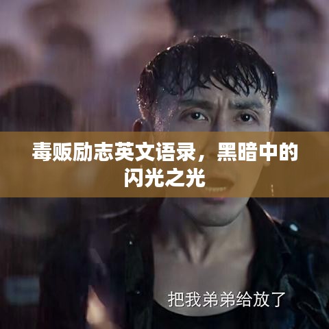 毒贩励志英文语录,黑暗中的闪光之光