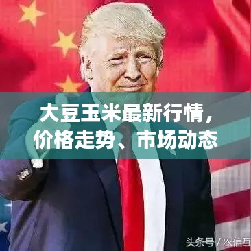 大豆玉米最新行情，价格走势、市场动态及影响因素深度解析
