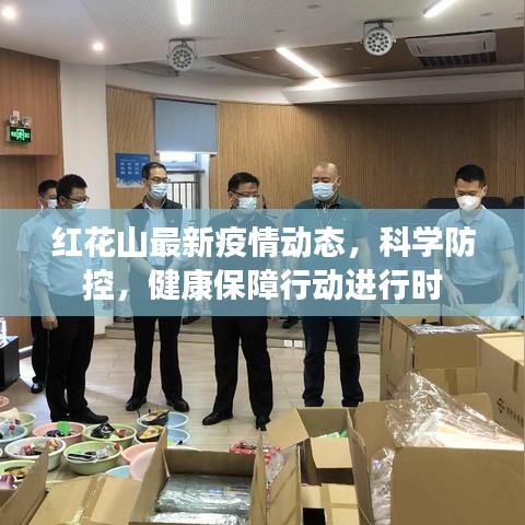红花山最新疫情动态，科学防控，健康保障行动进行时