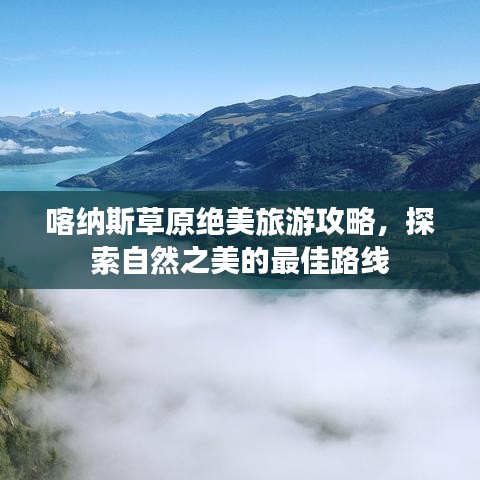 喀纳斯草原绝美旅游攻略，探索自然之美的最佳路线