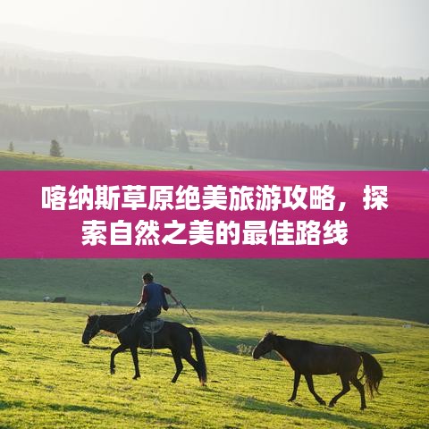 喀纳斯草原绝美旅游攻略,探索自然之美的最佳路线