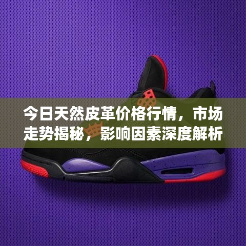 今日天然皮革价格行情，市场走势揭秘，影响因素深度解析