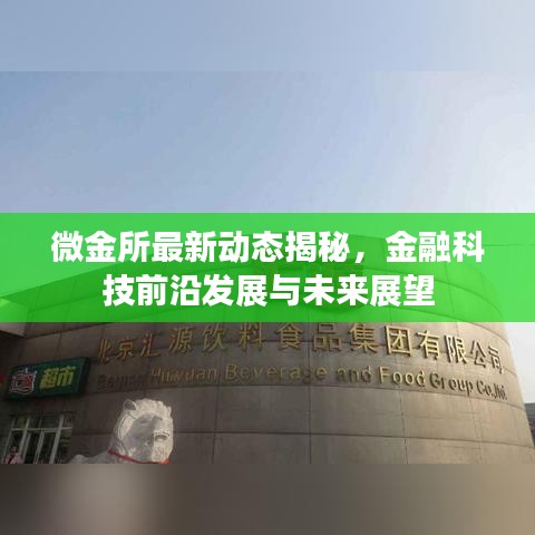 微金所最新动态揭秘，金融科技前沿发展与未来展望