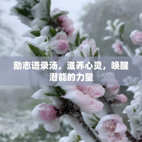 励志语录汤,滋养心灵,唤醒潜能的力量