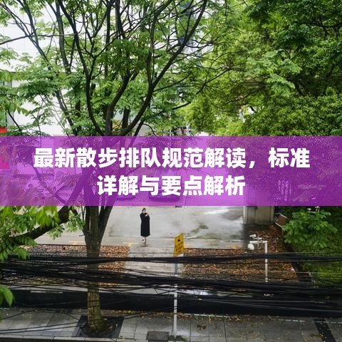 最新散步排队规范解读，标准详解与要点解析