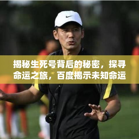 揭秘生死号背后的秘密，探寻命运之旅，百度揭示未知命运信息