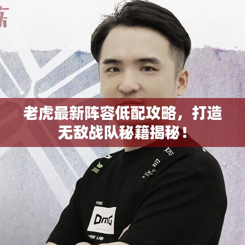 老虎最新阵容低配攻略，打造无敌战队秘籍揭秘！