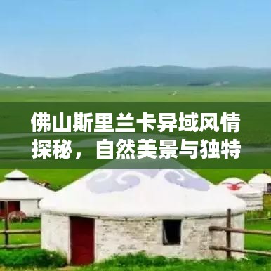 佛山斯里兰卡异域风情探秘，自然美景与独特文化体验攻略