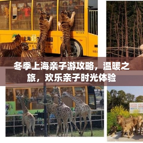 冬季上海亲子游攻略，温暖之旅，欢乐亲子时光体验