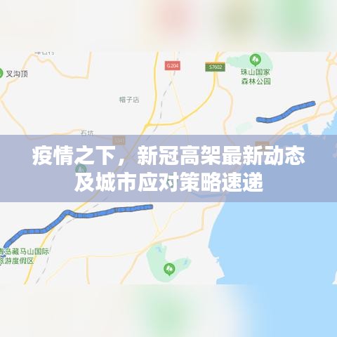 疫情之下，新冠高架最新动态及城市应对策略速递