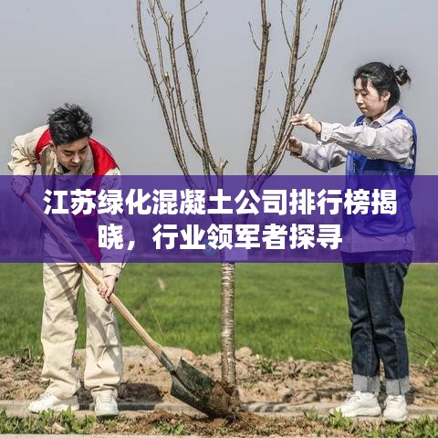 江苏绿化混凝土公司排行榜揭晓，行业领军者探寻