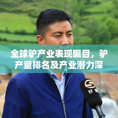 全球驴产业表现瞩目，驴产量排名及产业潜力深度解析