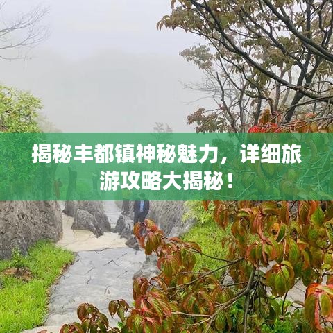 揭秘丰都镇神秘魅力，详细旅游攻略大揭秘！