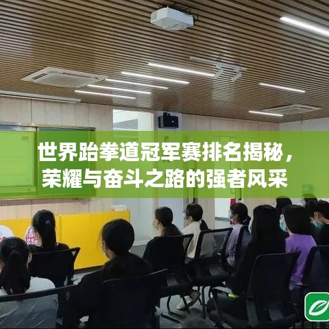 世界跆拳道冠军赛排名揭秘，荣耀与奋斗之路的强者风采