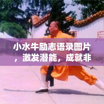小水牛励志语录图片，激发潜能，成就非凡人生！