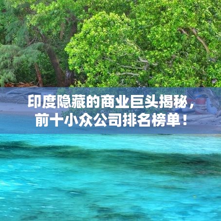 印度隐藏的商业巨头揭秘，前十小众公司排名榜单！
