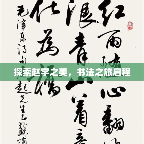 探索赵字之美,书法之旅启程