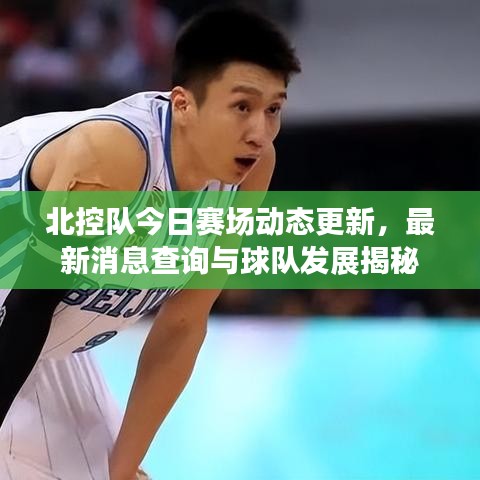 北控队今日赛场动态更新，最新消息查询与球队发展揭秘