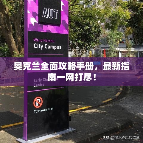 奥克兰全面攻略手册，最新指南一网打尽！
