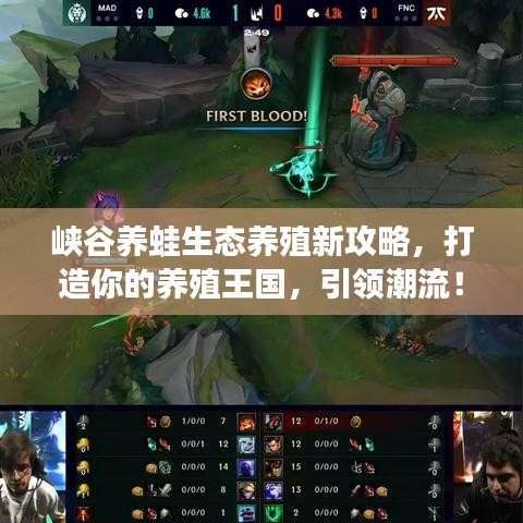 峡谷养蛙生态养殖新攻略，打造你的养殖王国，引领潮流！