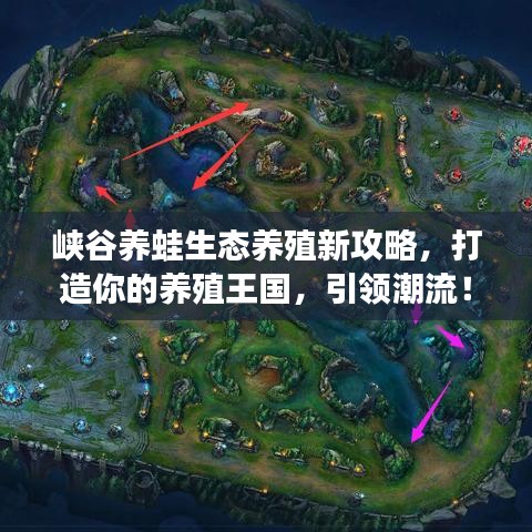 峡谷养蛙生态养殖新攻略,打造你的养殖王国,引领潮流!