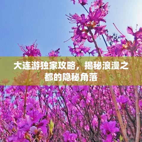 大连游独家攻略，揭秘浪漫之都的隐秘角落