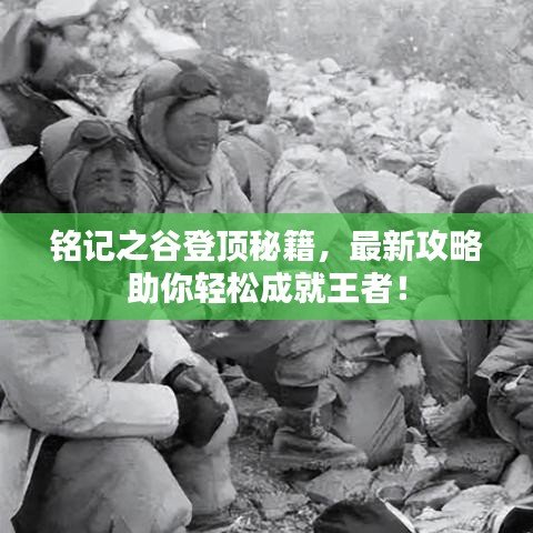 铭记之谷登顶秘籍，最新攻略助你轻松成就王者！