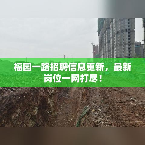 福园一路招聘信息更新，最新岗位一网打尽！