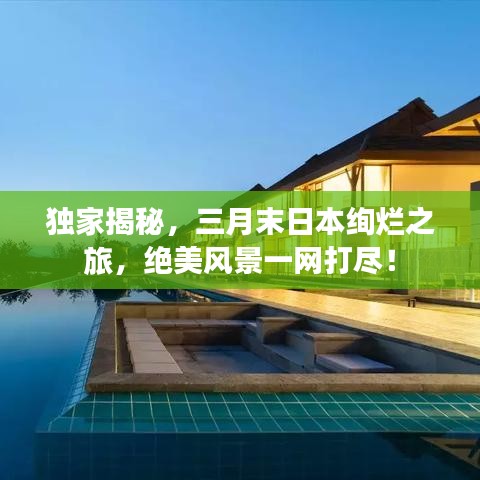 独家揭秘，三月末日本绚烂之旅，绝美风景一网打尽！