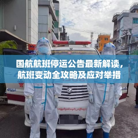 国航航班停运公告最新解读，航班变动全攻略及应对举措