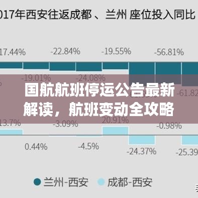 国航航班停运公告最新解读,航班变动全攻略及应对举措