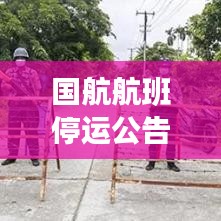 国航航班停运公告最新解读,航班变动全攻略及应对举措
