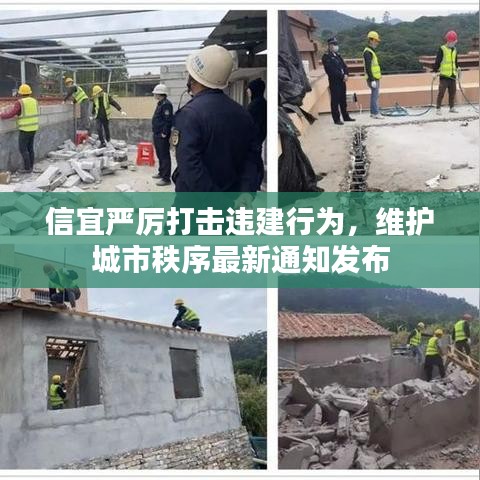 信宜严厉打击违建行为，维护城市秩序最新通知发布
