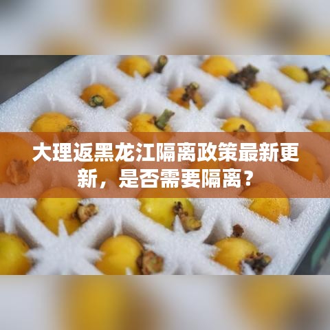 大理返黑龙江隔离政策最新更新，是否需要隔离？