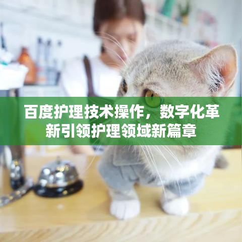 百度护理技术操作,数字化革新引领护理领域新篇章