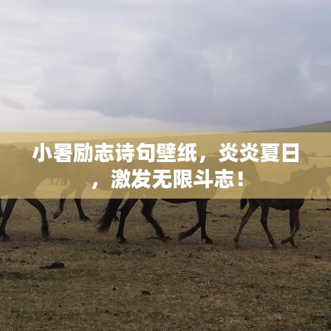 小暑励志诗句壁纸,炎炎夏日,激发无限斗志!