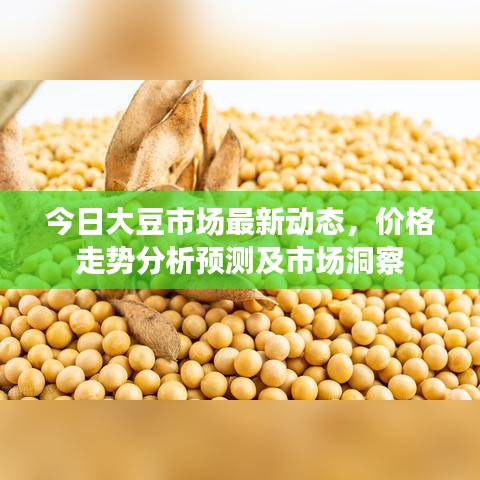 今日大豆市场最新动态，价格走势分析预测及市场洞察