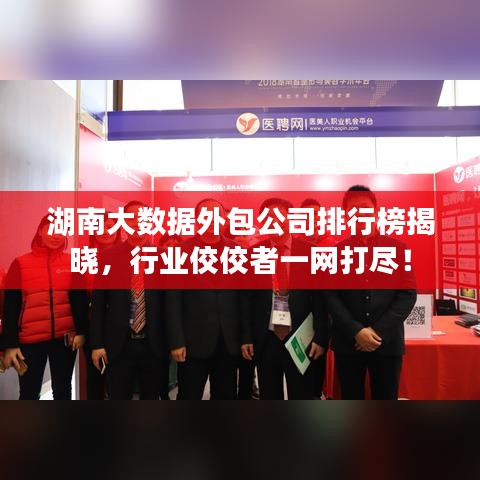 湖南大数据外包公司排行榜揭晓，行业佼佼者一网打尽！