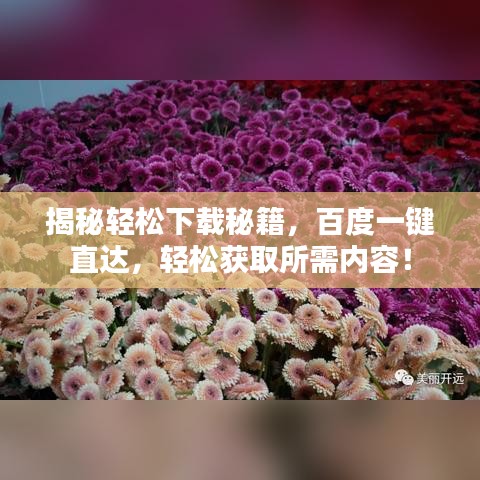 揭秘轻松下载秘籍，百度一键直达，轻松获取所需内容！