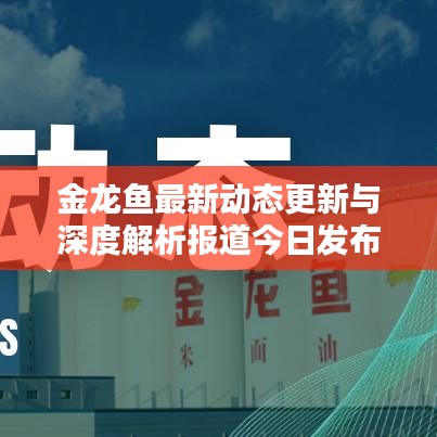 金龙鱼最新动态更新与深度解析报道今日发布