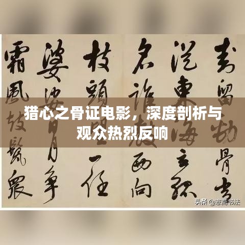 猎心之骨证电影，深度剖析与观众热烈反响