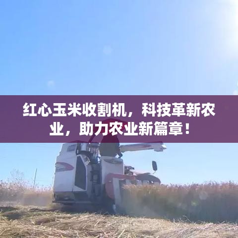 红心玉米收割机，科技革新农业，助力农业新篇章！