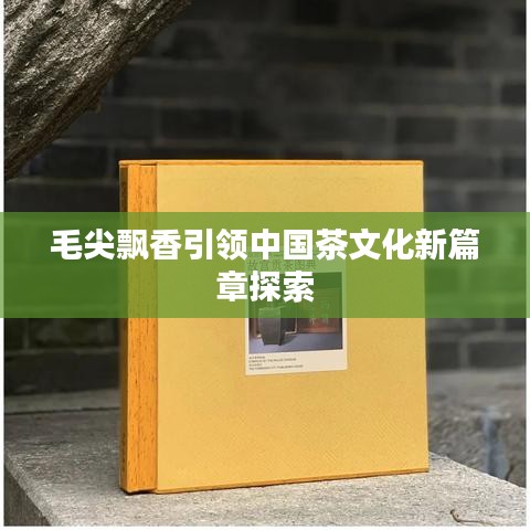 毛尖飘香引领中国茶文化新篇章探索
