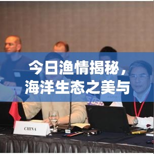 今日渔情揭秘，海洋生态之美与魅力展现的视频独家呈现
